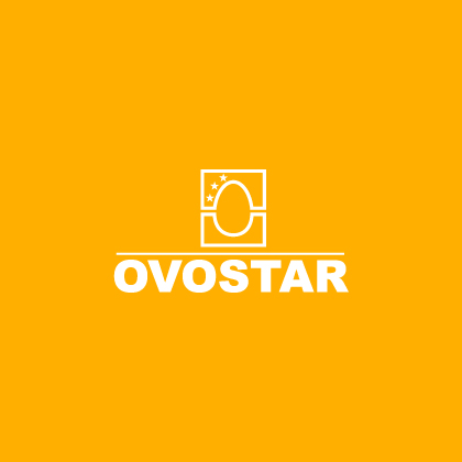 free range eggs OVOSTAR