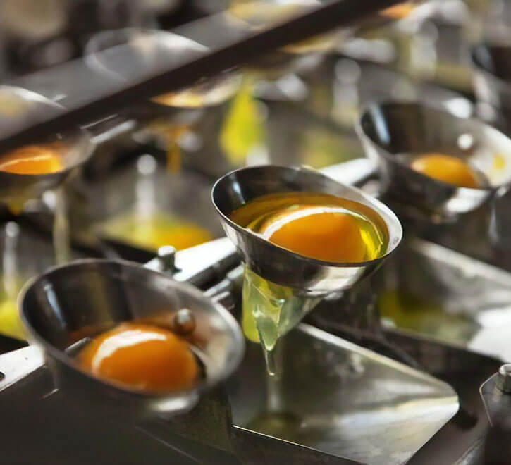 technology Ovostar Union