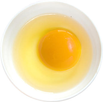 LIQUID EGGS PASTEURIZED