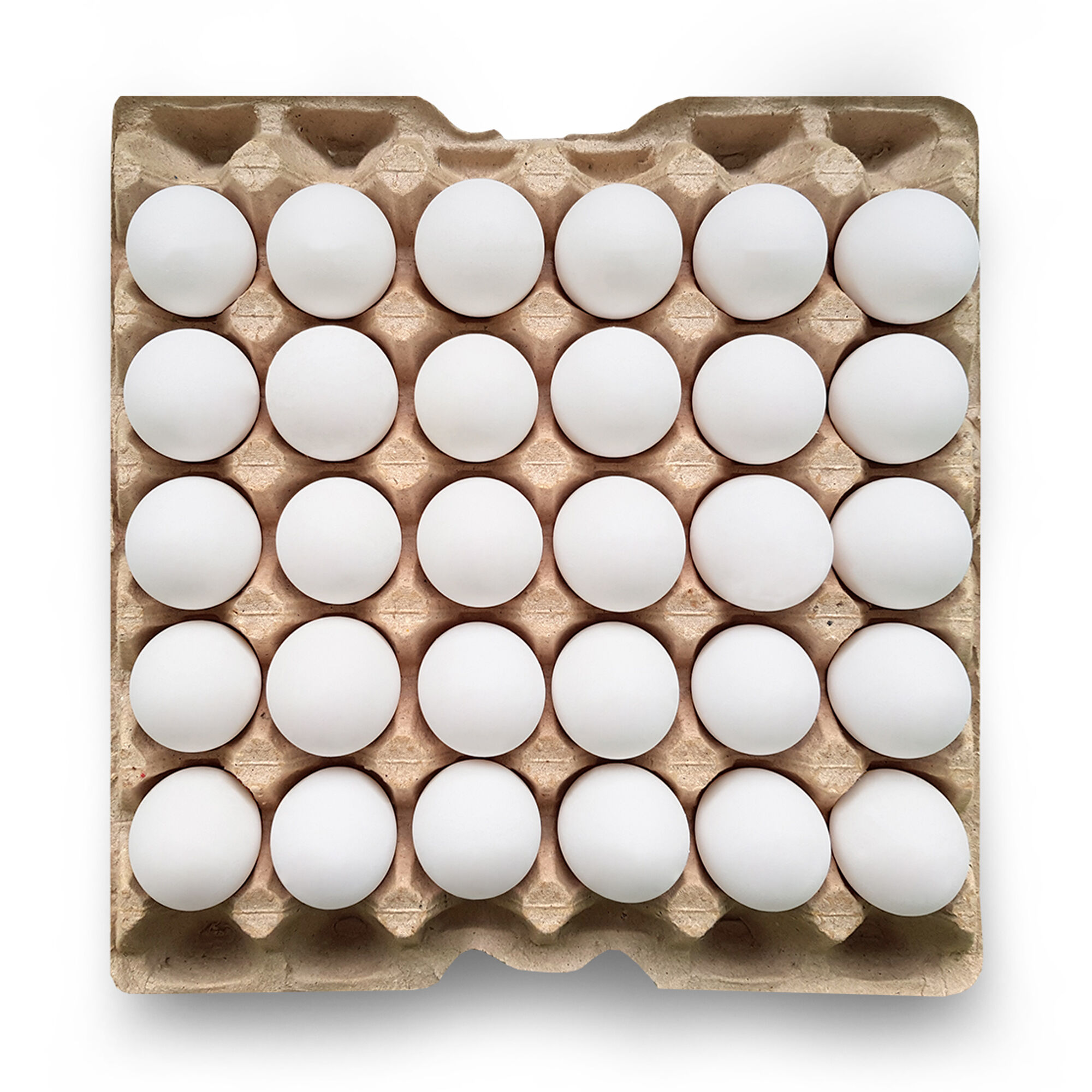 Fresh chicken eggs wholesale Directly from the producer Ovostar